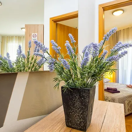 Gasthuis Teta Palmina 4*